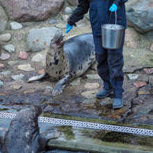 fot. Marcel Jakubowski