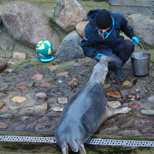 fot. Marcel Jakubowski