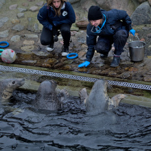 fot. Marcel Jakubowski