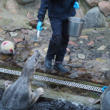 fot. Marcel Jakubowski