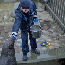 fot. Marcel Jakubowski