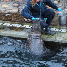 fot. Marcel Jakubowski