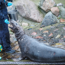 fot. Marcel Jakubowski