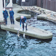 fot. Marcel Jakubowski