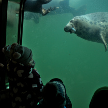 fot. Marcel Jakubowski