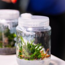 fot. Mateusz Rudnicki\MWB UG i GUMed