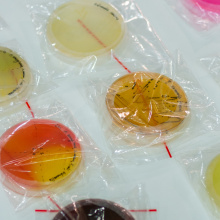 fot. Mateusz Rudnicki\MWB UG i GUMed