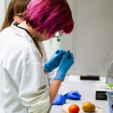 fot. Mateusz Rudnicki\MWB UG i GUMed