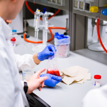 fot. Mateusz Rudnicki\MWB UG i GUMed