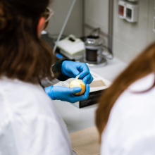 fot. Mateusz Rudnicki\MWB UG i GUMed