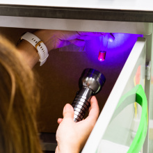 fot. Mateusz Rudnicki\MWB UG i GUMed