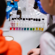 fot. Mateusz Rudnicki\MWB UG i GUMed