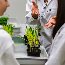 fot. Mateusz Rudnicki\MWB UG i GUMed