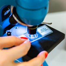 fot. Mateusz Rudnicki\MWB UG i GUMed