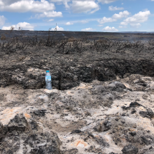 Pokłosie pożaru torfowiska w Saddleworth Moor, Wielka Brytania.