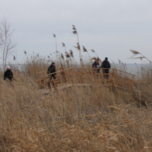 Nowa infrastruktura turystyczna w Rezerwacie przyrody Beka