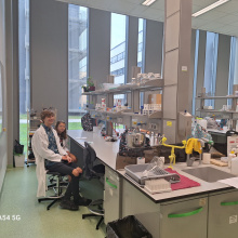 fot. dr Dorota Pomorska