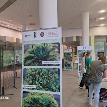 fot. dr Dorota Pomorska