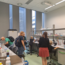 fot. dr Dorota Pomorska