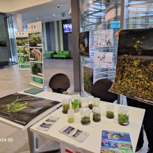 fot. dr Dorota Pomorska