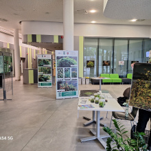 fot. dr Dorota Pomorska