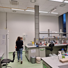 fot. dr Dorota Pomorska