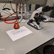 fot. dr Dorota Pomorska