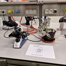 fot. dr Dorota Pomorska