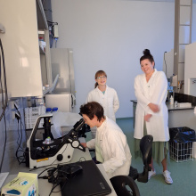 fot. dr Dorota Pomorska