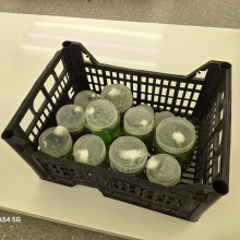 fot. dr Dorota Pomorska