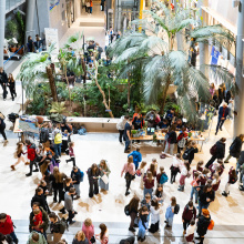 fot. Marcel Jakubowski