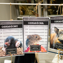 fot. Marcel Jakubowski