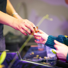 fot. Marcel Jakubowski