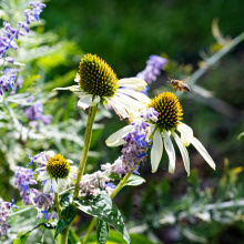 fot. Marcel Jakubowski