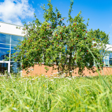 fot. Marcel Jakubowski