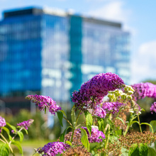 fot. Marcel Jakubowski