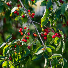 fot. Marcel Jakubowski