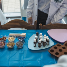 33 Dzień Zrównoważonego Rozwoju UG 2024 - fot. Alan Stocki