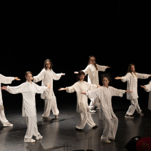 Pokaz tai chi (nauczyciele i studenci IK UG), fot. China's Xinhua News Agency