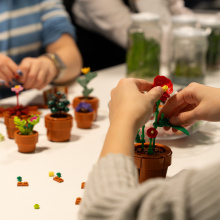 Noc Biologów na UG 2026 - WB, budowanie kwiatów z klocków LEGO