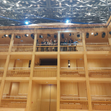 'Translating Shakespeare's drama into movement'