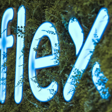 Minitargi Pracy "Moja Kariera" jesień 2024; fot. Alan Stocki; fot. 009