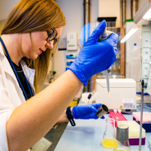 Zdjęcia z laboratorium