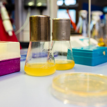 Zdjęcia z laboratorium