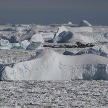 A voyage to Antarctica