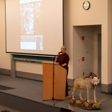 Konferencja Wilki blisko nas