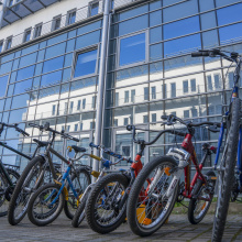 Collection of bicycles