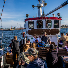 Siódma edycja kursu w 2019 roku