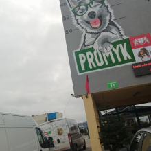 Schronisko Promyk
