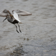Photos by: Prof. Dr. Włodzimierz Meissner